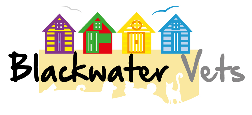 Blackwater Vets